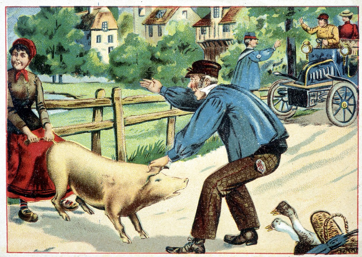 Cerdo que se niega a avanzar y que bloquea el camino a un automóvil - dibujo de School French