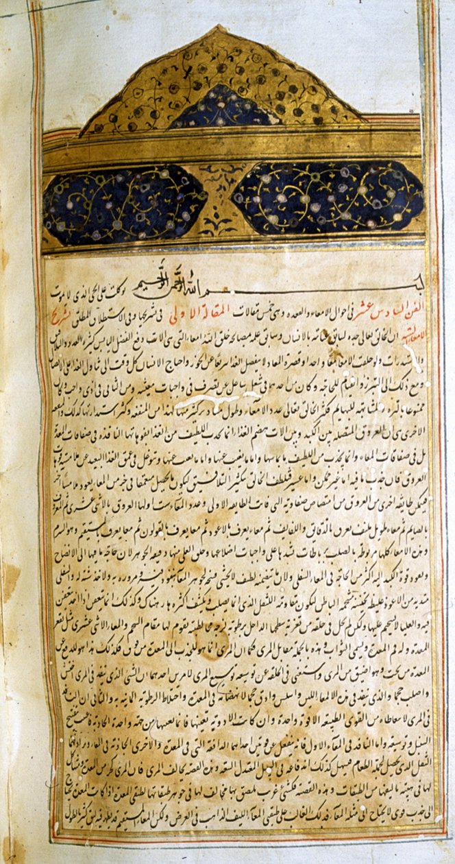 Página de El canon de la medicina (al-Qānūn fī aṭ-Ṭibb) de Avicena. de School Iranian