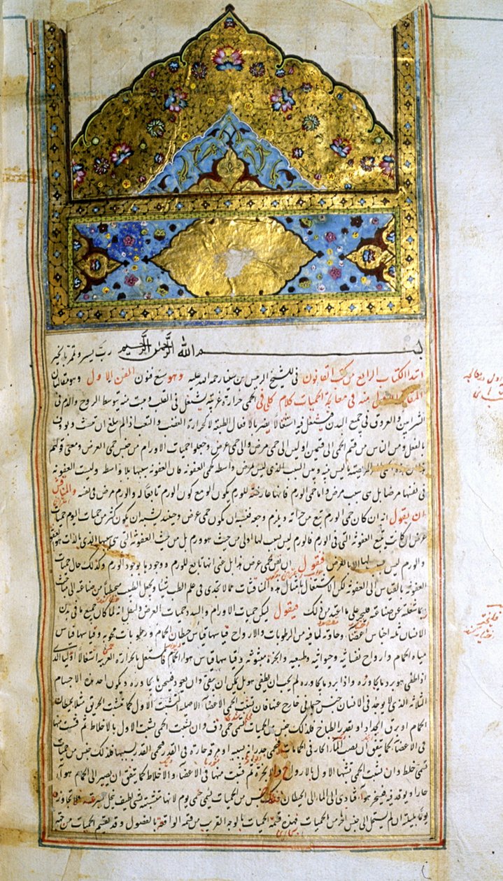 Página de El canon de la medicina (al-Qānūn fī aṭ-Ṭibb) de Avicena. de School Iranian