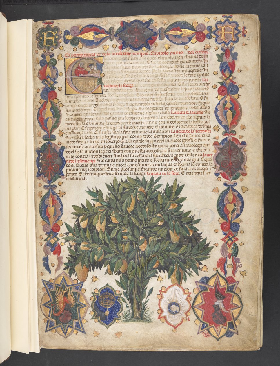 Vollrand mit heraldischer Dekoration und historiierter Initiale 