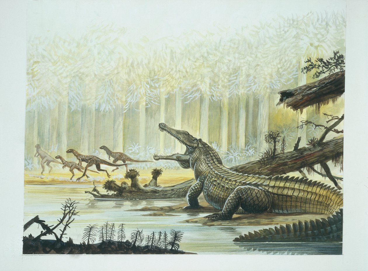Rutiodon con Fabrosaurus en el fondo, período Triásico de School Italian