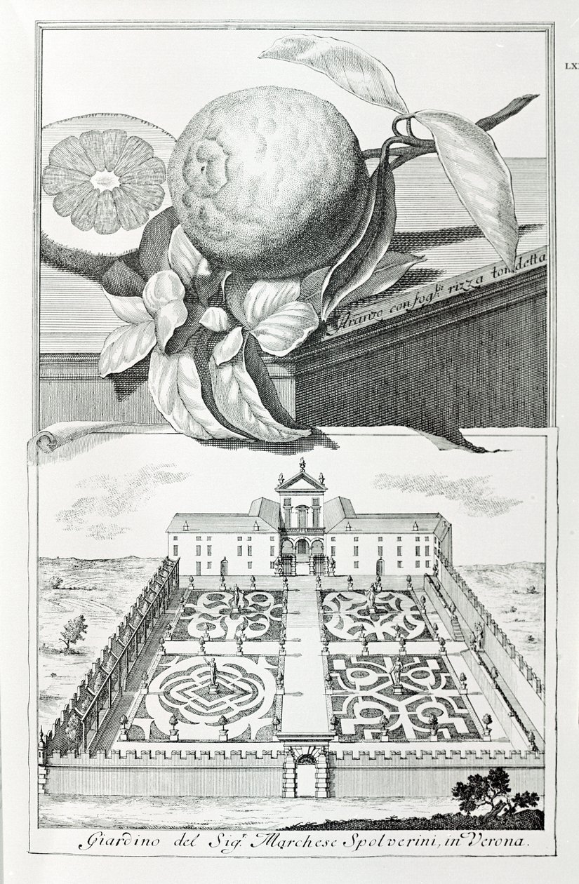 Villa del Marqués Spolverini de Verona, de "Villas, Jardines y Paisajes en Venecia" por A. Volkamer (grabado) de School Italian