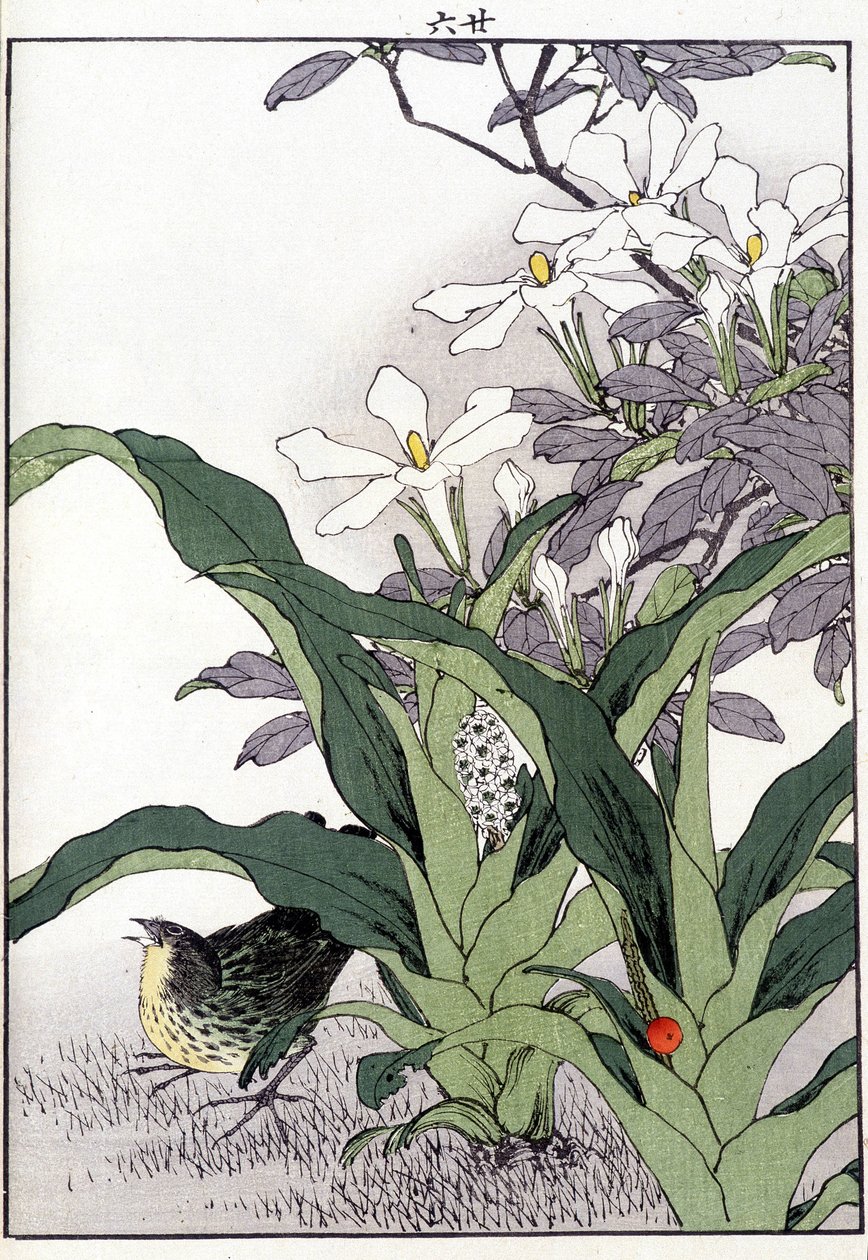 Pájaro en las flores - Estampa japonesa de Japanese School