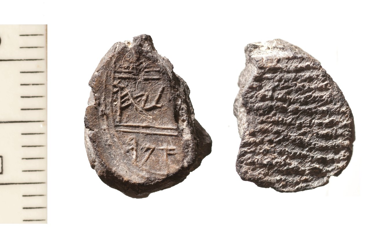 Bula de Amar (arcilla) de School Jewish