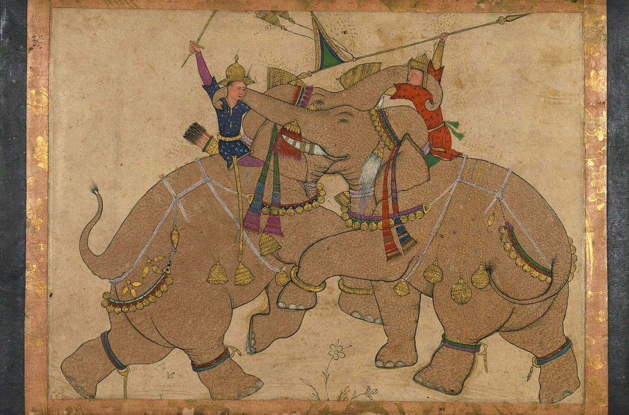 Combate de elefantes de School Mughal