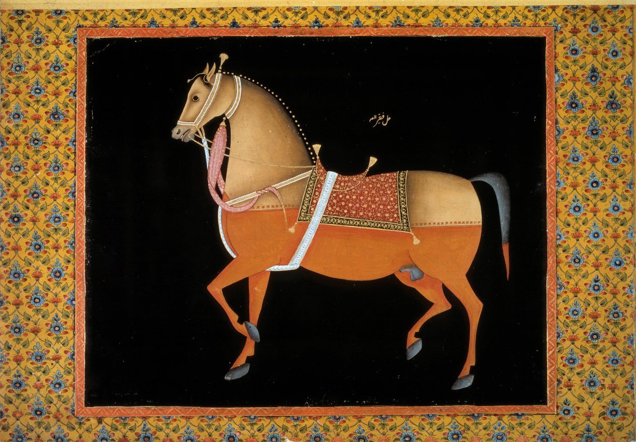 Arte mogol: representación de un semental de School Mughal