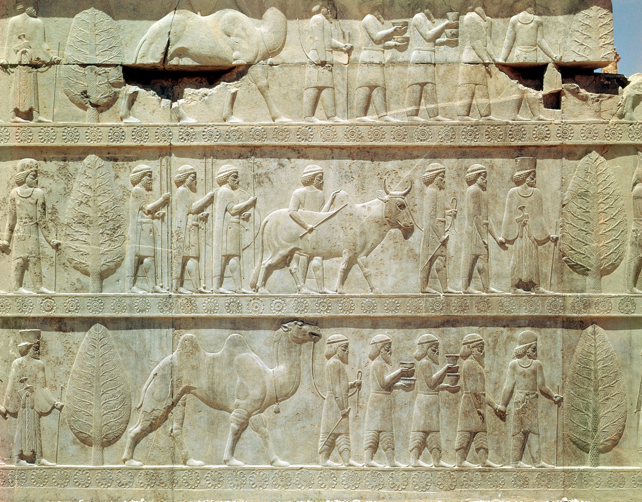 Detalle del friso en relieve en la escalera este del Apadana (sala de audiencias) que representa delegados de las tierras sujetas al imperio llevando regalos lujosos para una ceremonia, período Aqueménida, c.515 a.C. de School Persian