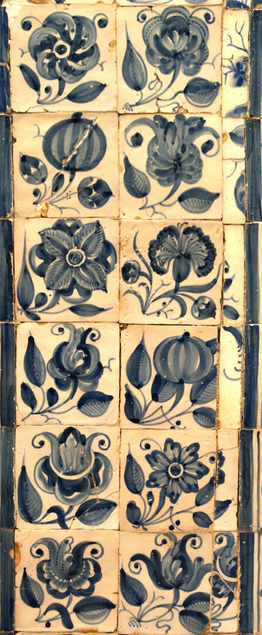 Panel que representa varias especies de flores, Tarouca, Portugal de School Portuguese