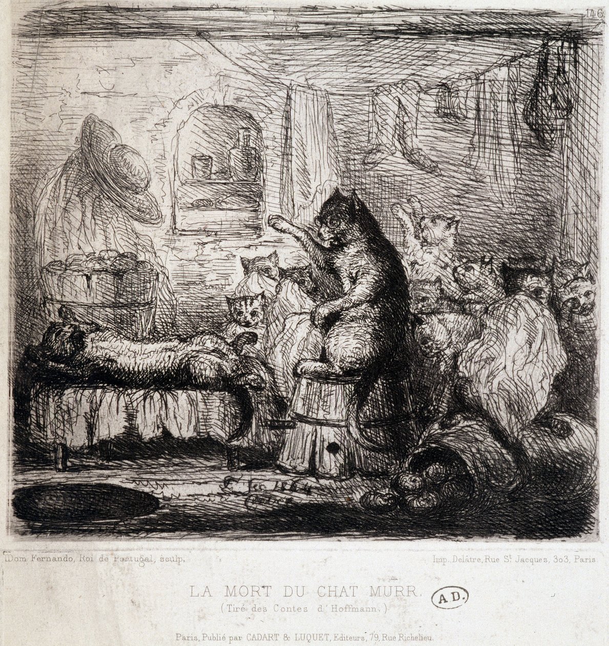 La muerte del gato Murr (de los cuentos de Hoffmann) - Dibujo, Portugal de School Portuguese