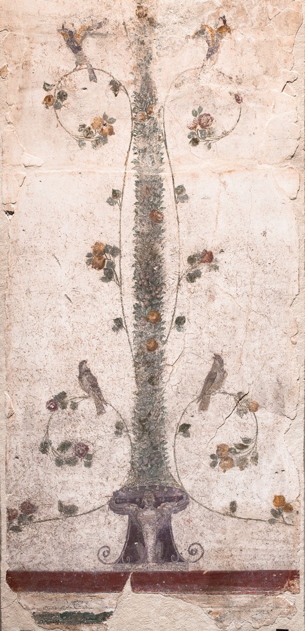 Pájaros y frutas de School Roman