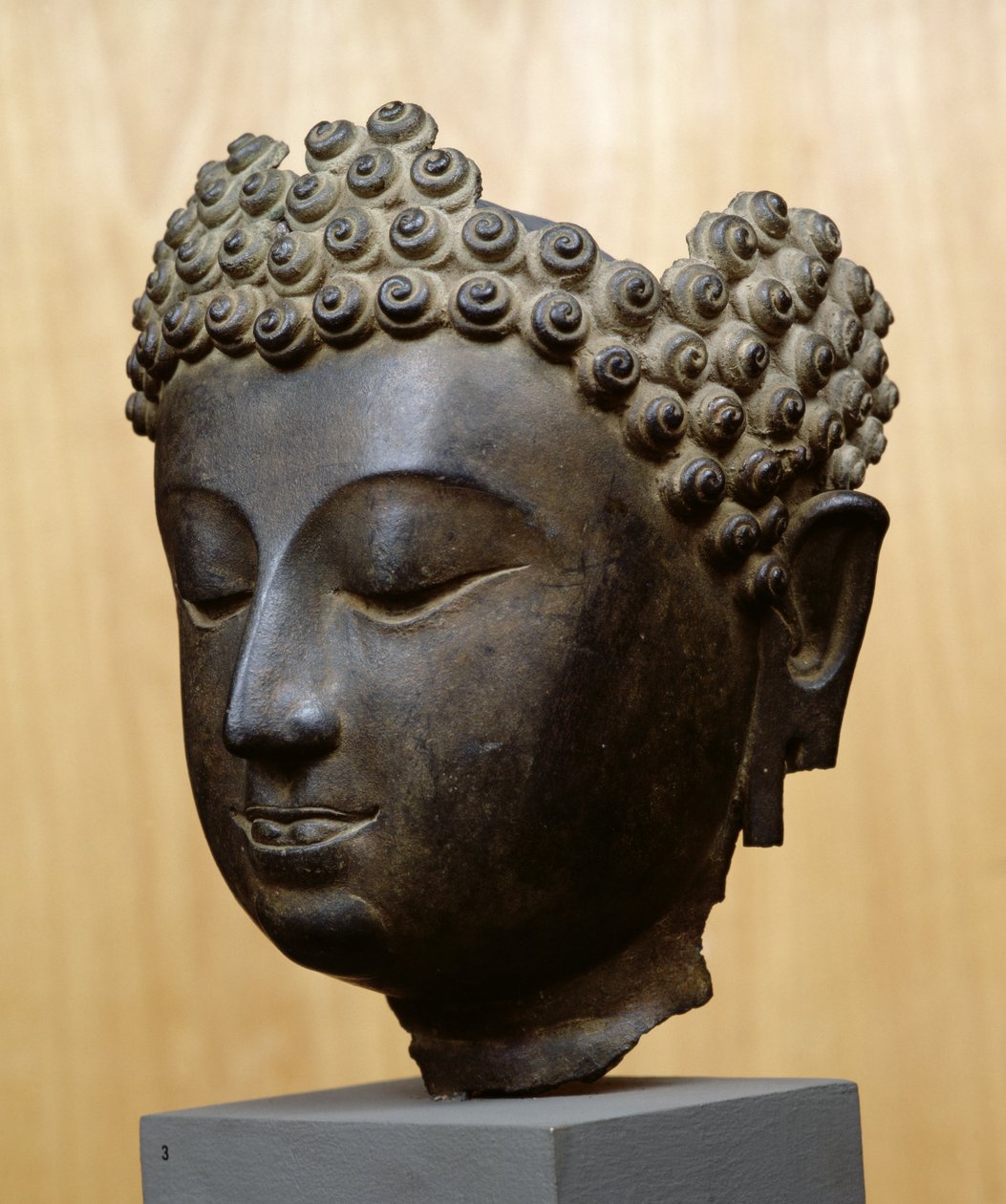 Cabeza de Buda mirando hacia abajo, Cultura Lan Na de School Thai