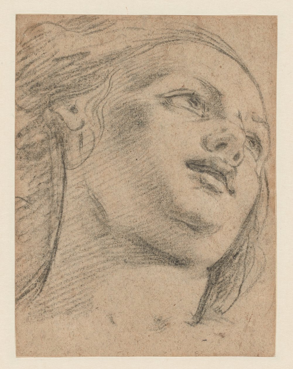 Estudio de cabeza femenina mirando hacia arriba a la derecha (recto); Estudio de dos figuras sosteniendo un objeto (verso) de School of Guido Reni