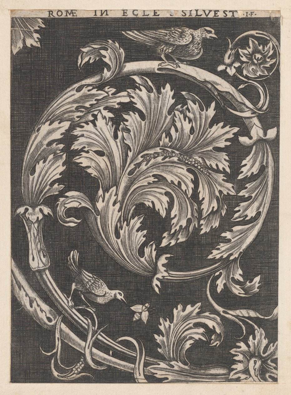 Speculum Romanae Magnificentiae: Follaje ornamental de iglesias, siglo XVI de School of Raphael