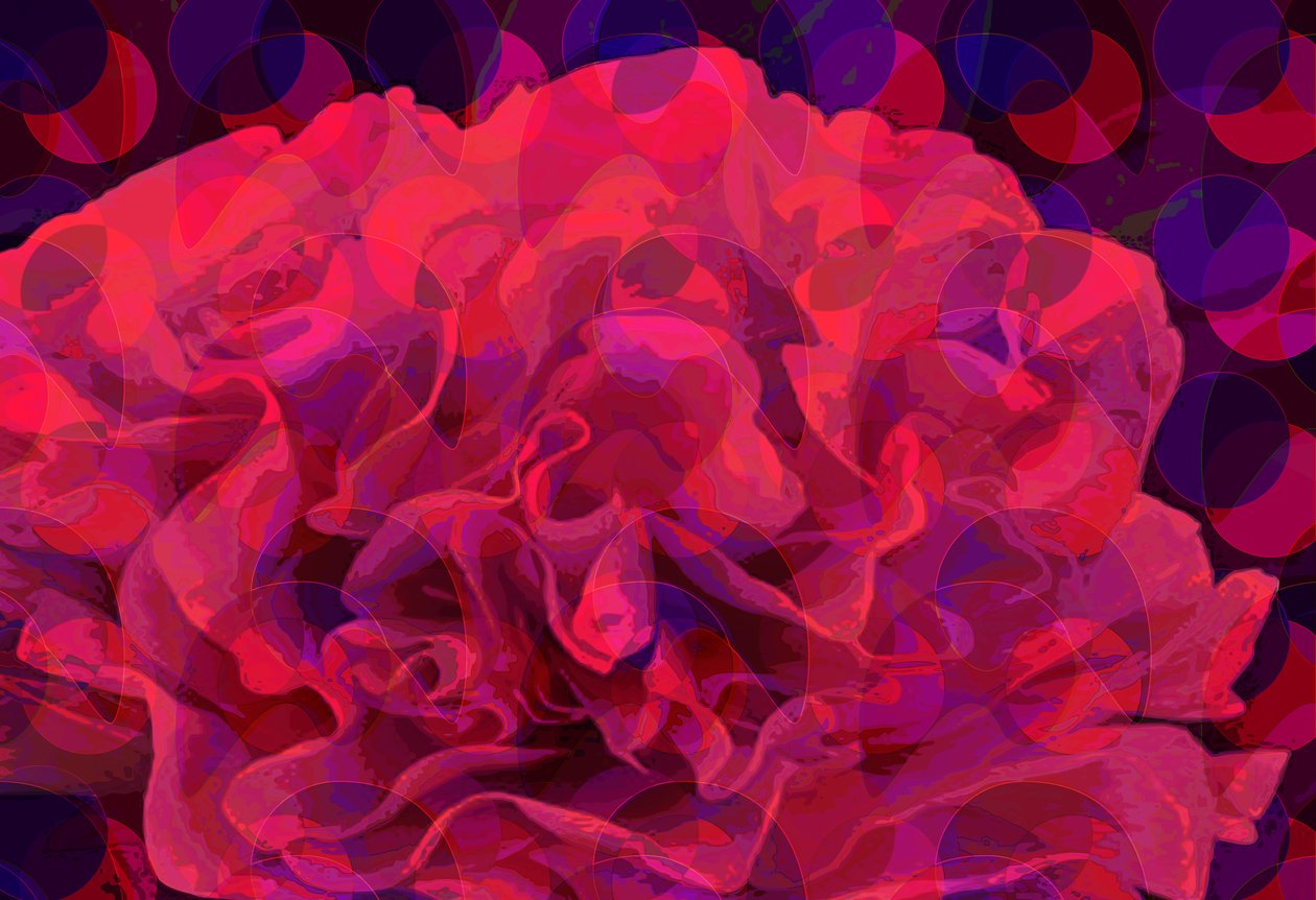 Clavel de Scott J. Davis