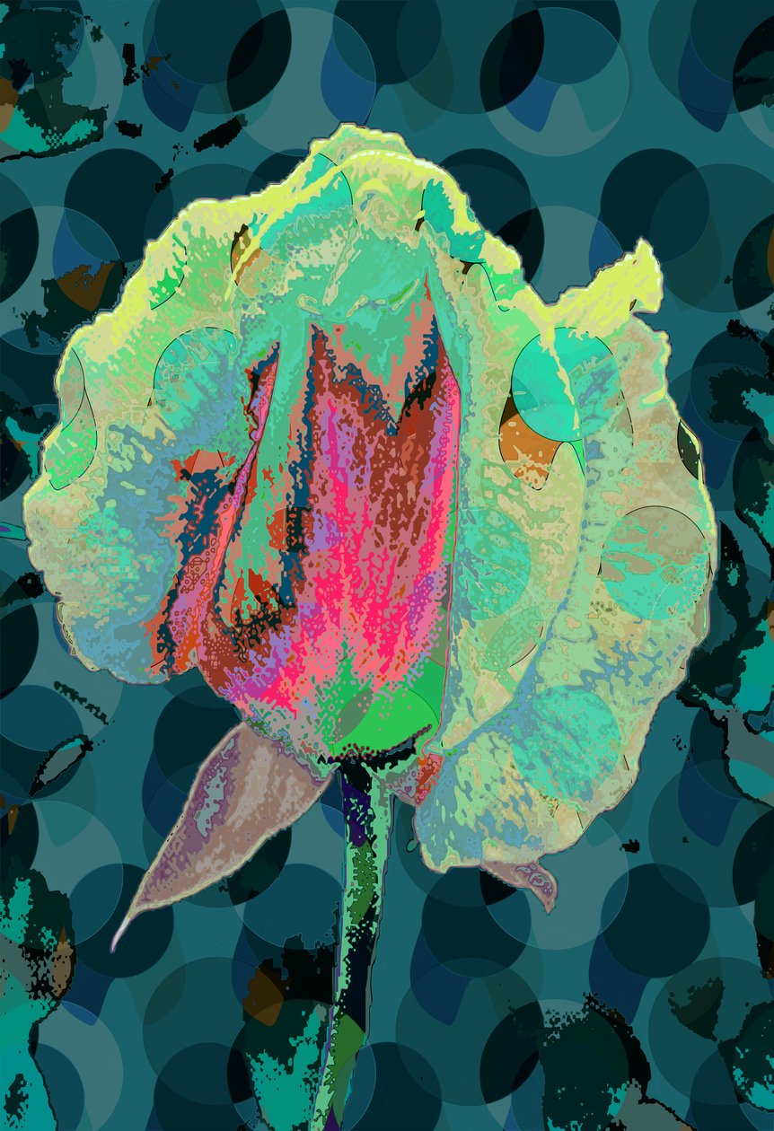 Rosa de Té 4 de Scott J. Davis