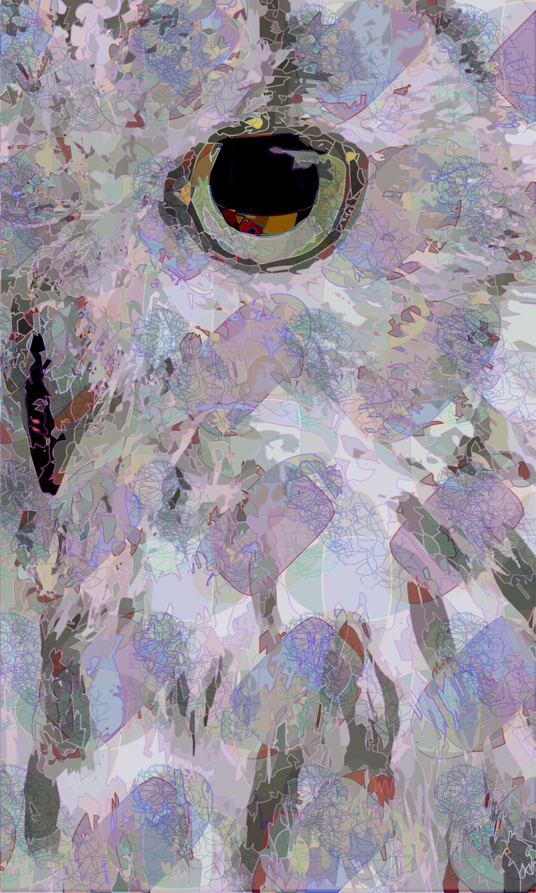 Búho3 de Scott J. Davis