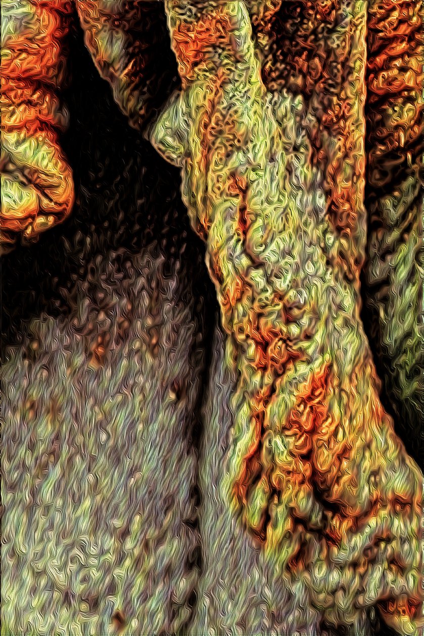 Tronco de árbol, 2021 de Scott J. Davis