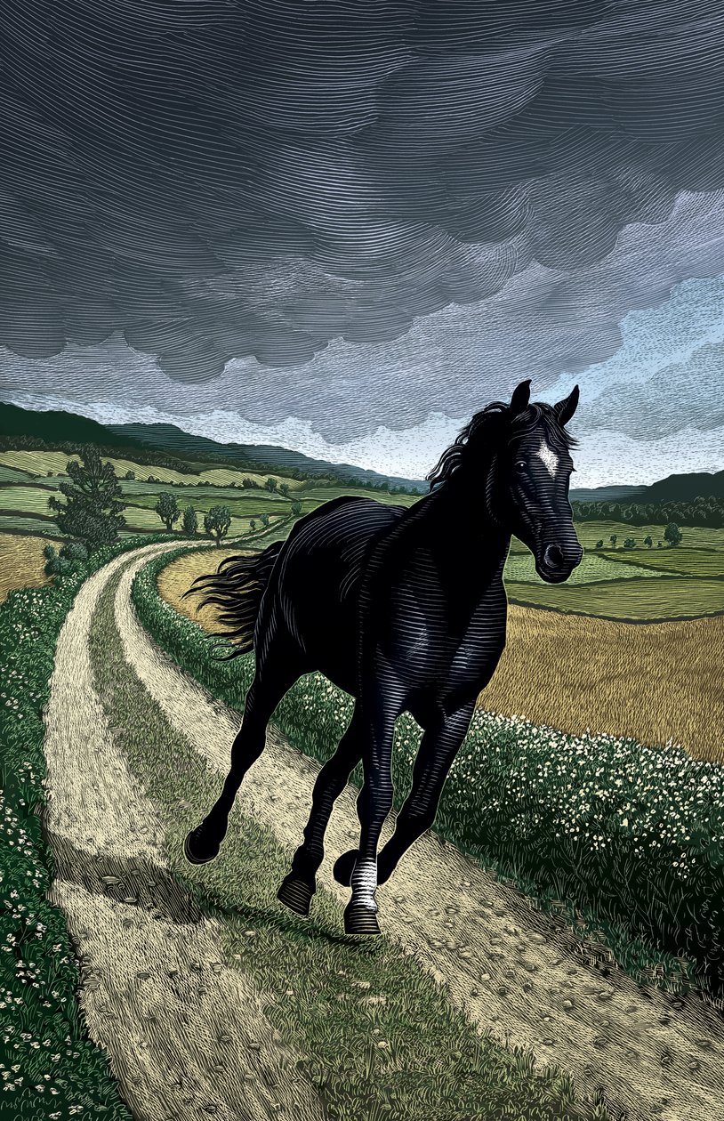  de Scott McKowen