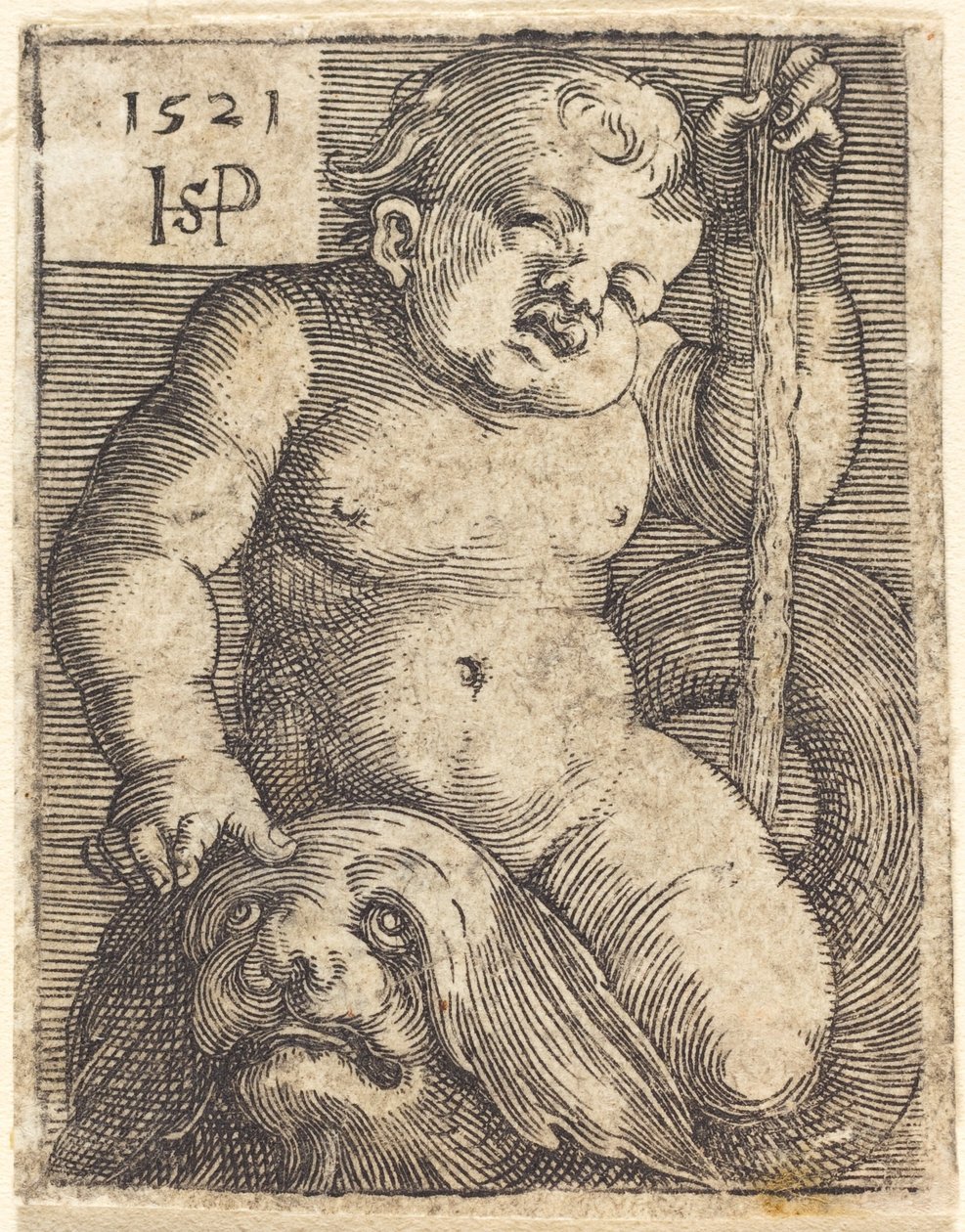 Genio en un delfín de Sebald Beham