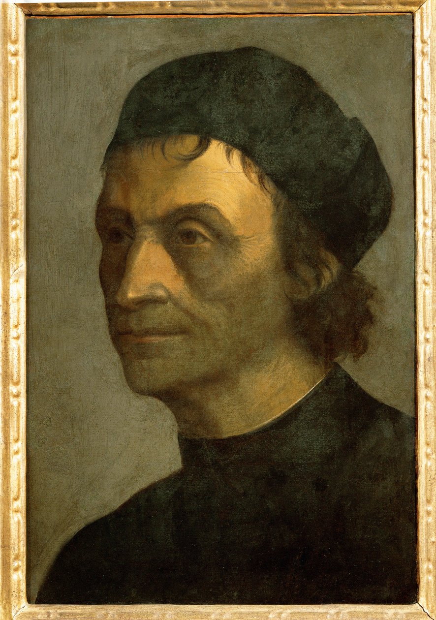 Retrato de un sacerdote de la corte papal (pintura sobre lienzo) de Sebastiano del (c.1485-1547) Piombo