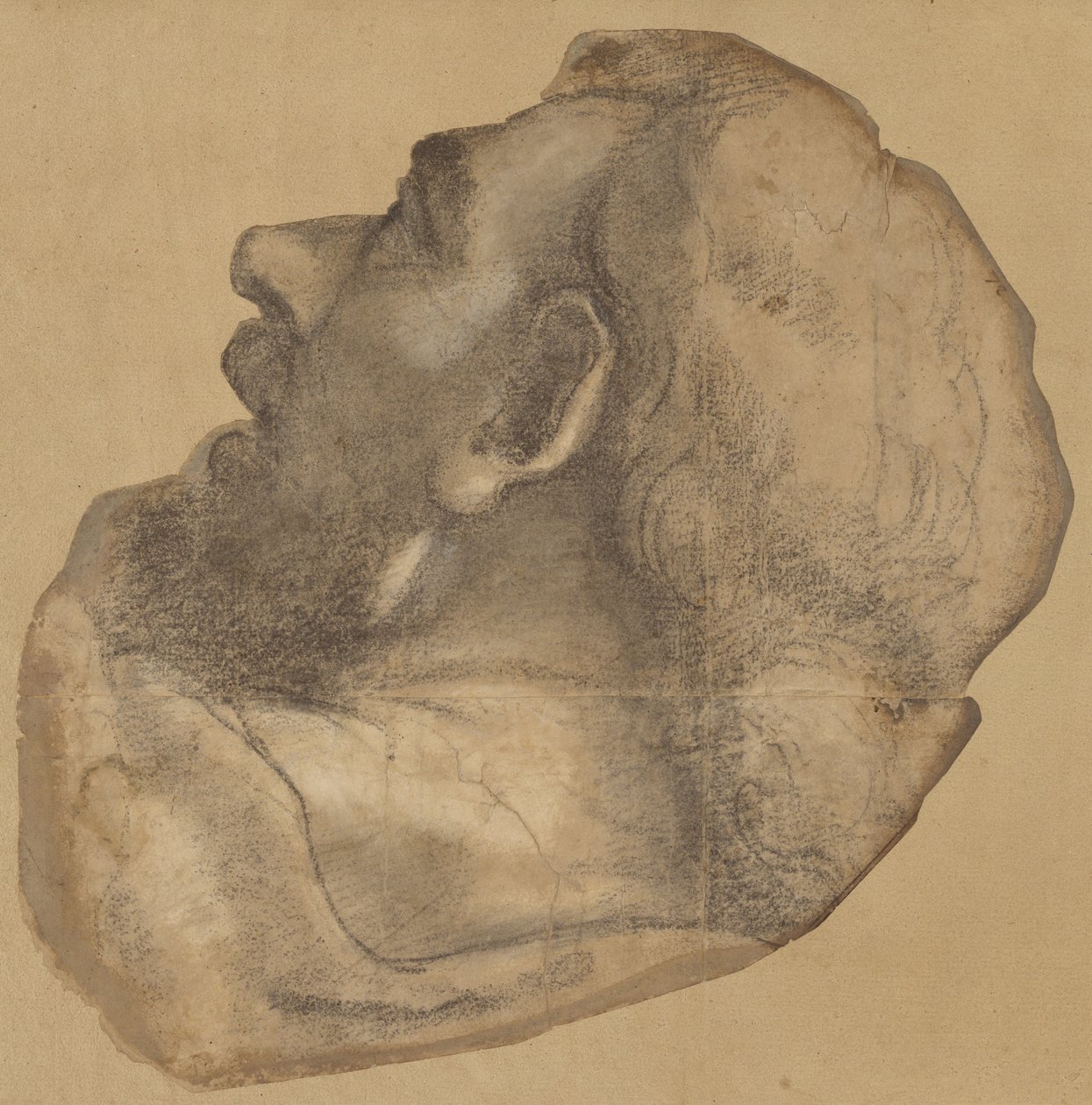 Caricatura del jefe de Santiago de Sebastiano del Piombo