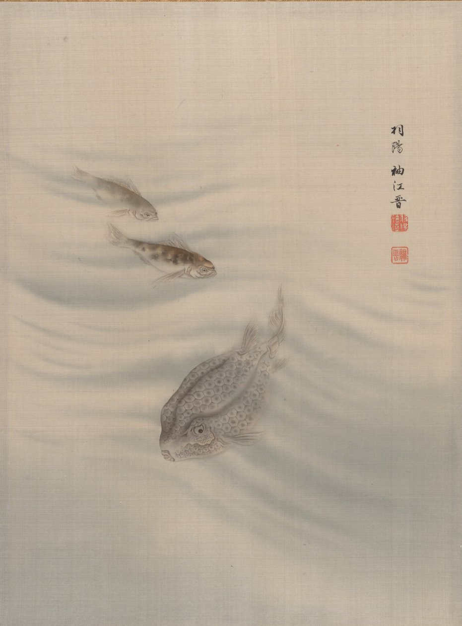 Peces de Seki Shuko