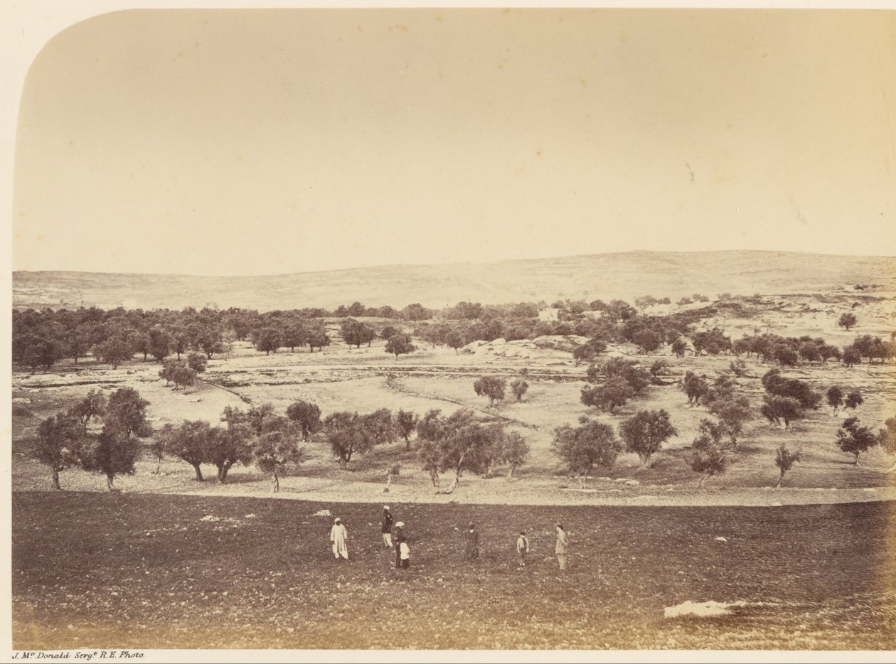 Vista panorámica de la ciudad desde el norte de Sgt. James M. McDonald