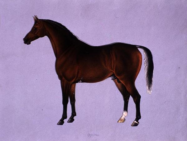 Oppidan, c.1840 de Shaik Muhammad Amir of Karraya
