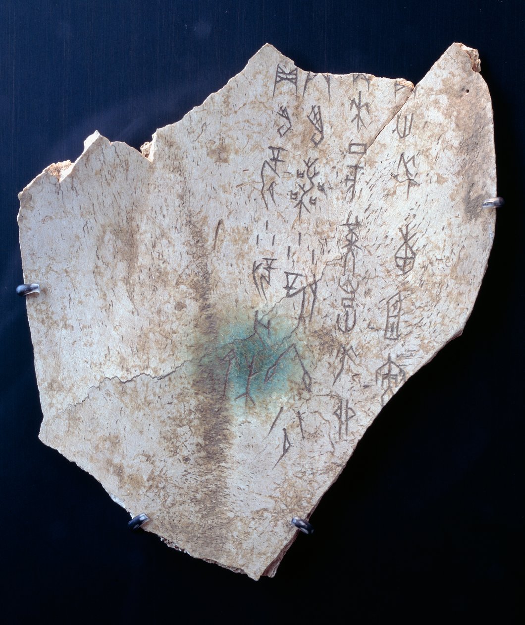 Pictograma en una escápula de buey con un ritual para alejar el peligro de Shang Dynasty Chinese School