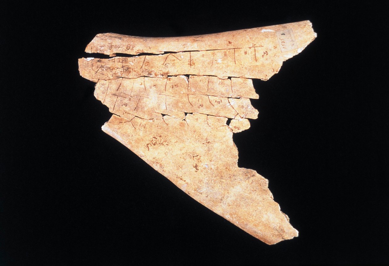 Pictograma en una escápula de buey con un ritual para alejar el peligro (hueso) de Shang Dynasty Chinese School