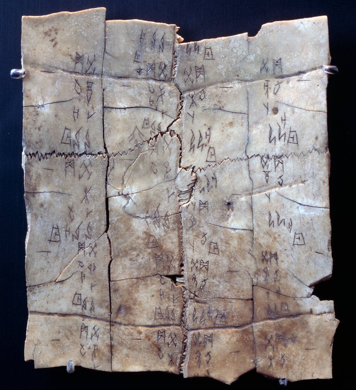 Pictograma en plastrón de tortuga con texto de adivinación (plastrón de tortuga) de Shang Dynasty Chinese School