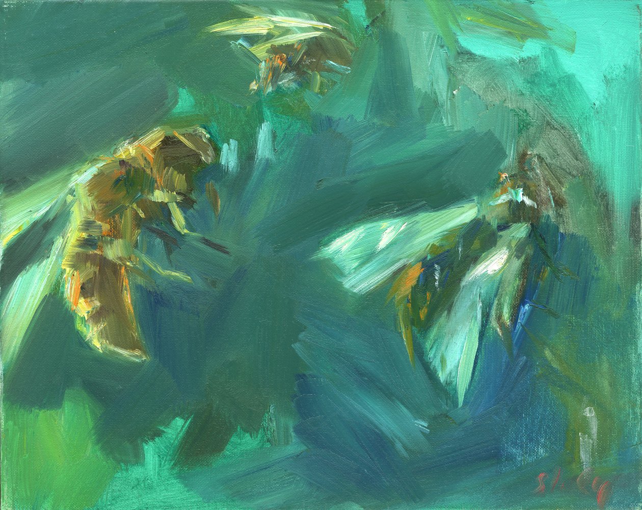 Abeja 2, 2024 (óleo sobre tabla) de Shaun Carey