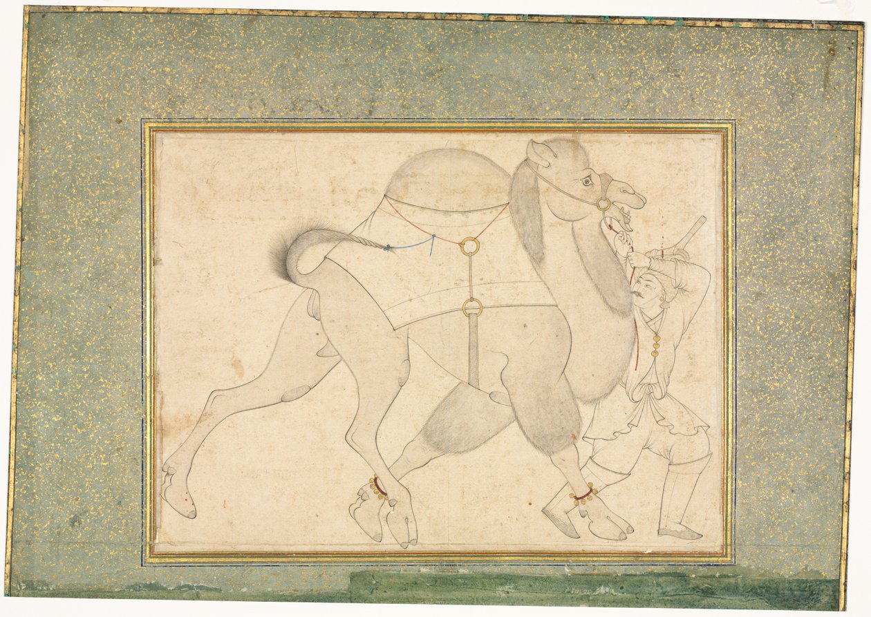 Camello y mozo, ilustración de una sola página, c. 1545-1576 de Shaykh Muhammad