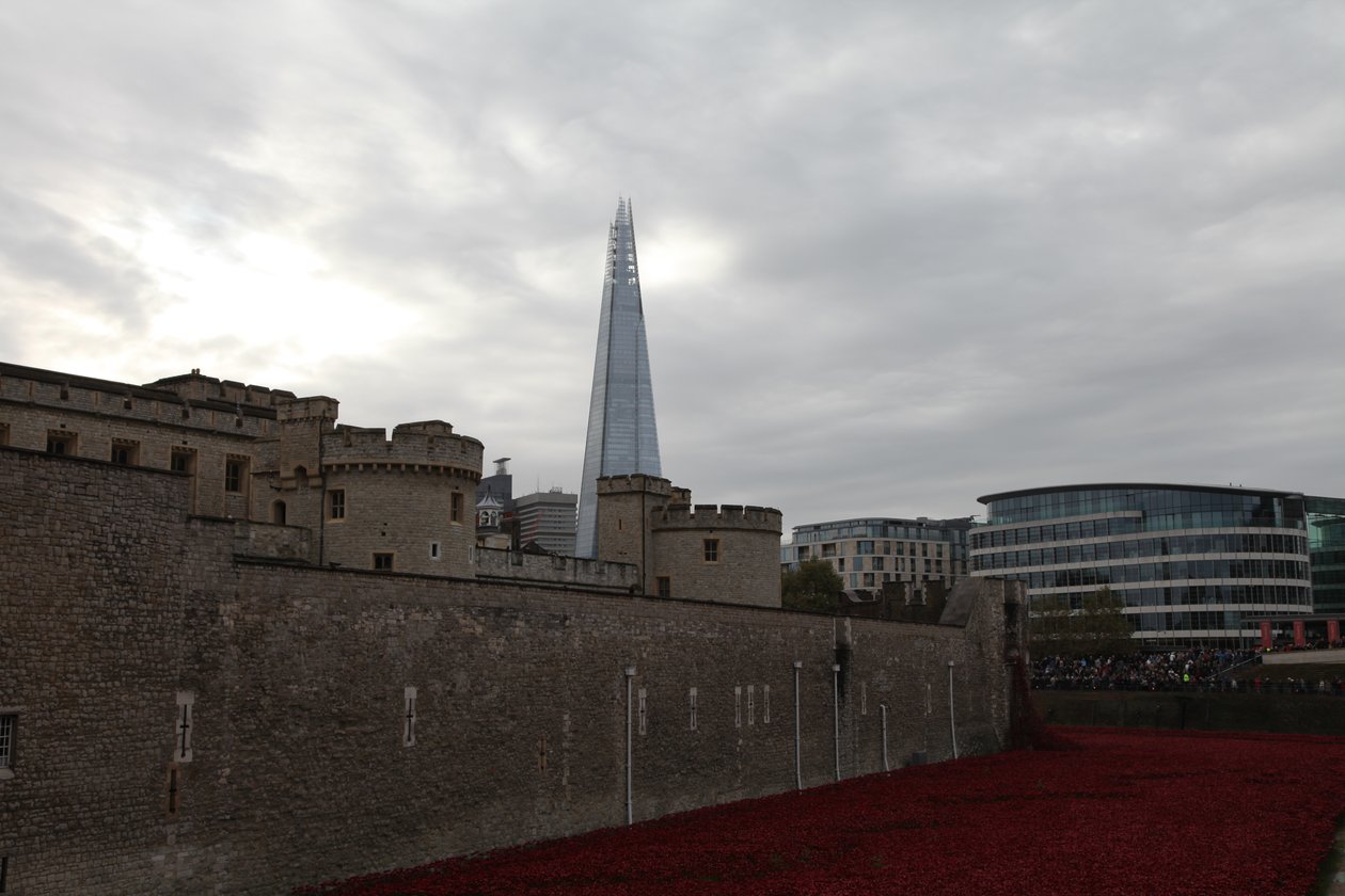 Tierras y mares de sangre barridos, Torre de Londres, 2014 de Sheldon Marshall