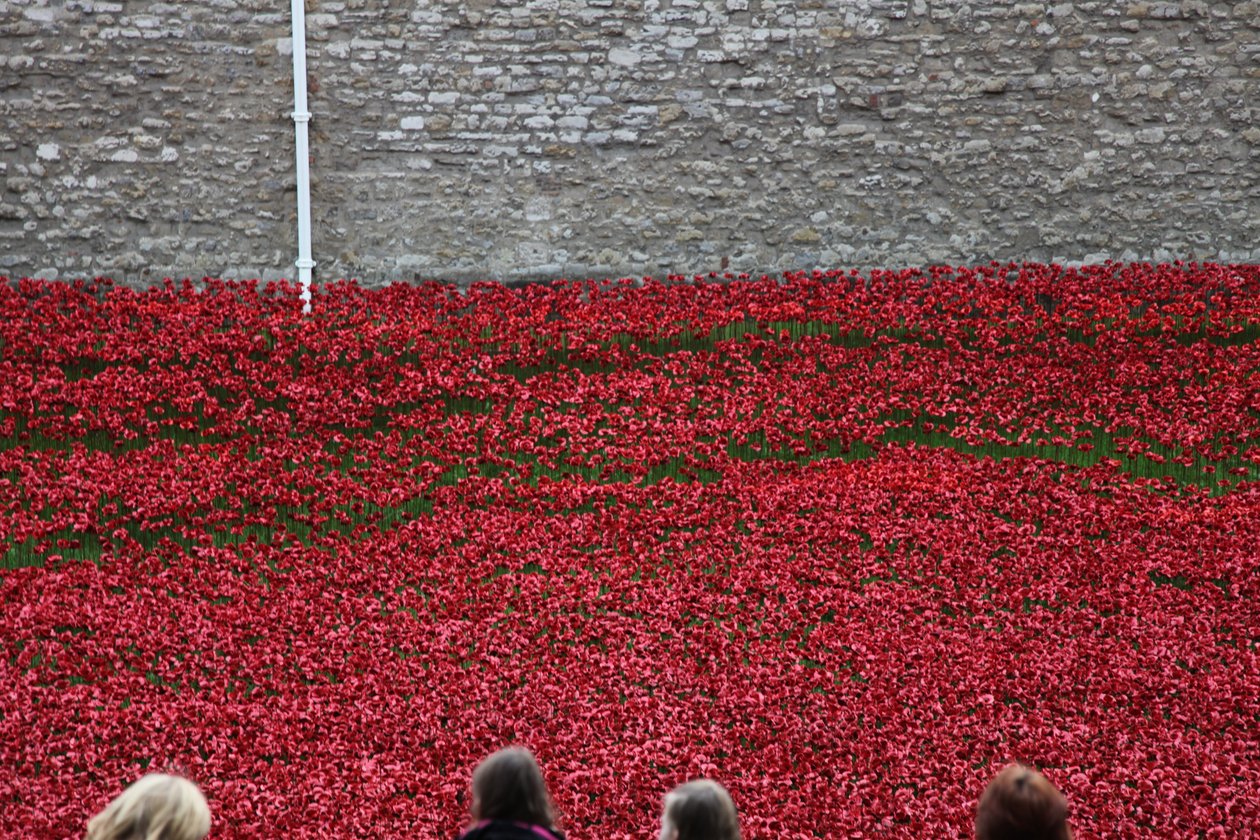 Tierras y mares de rojo barridos por la sangre, Torre de Londres de Sheldon Marshall