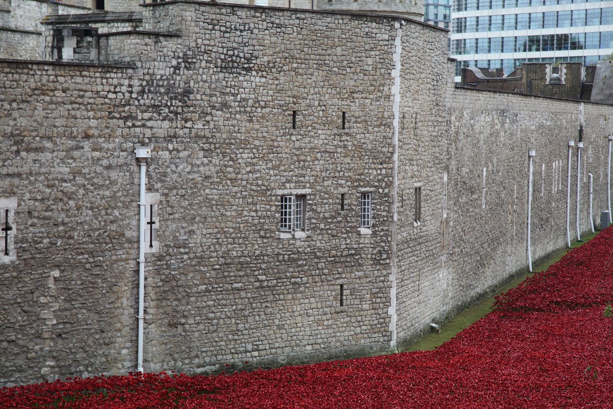 Tierras y mares de rojo barridos por la sangre, Torre de Londres, 2014 de Sheldon Marshall