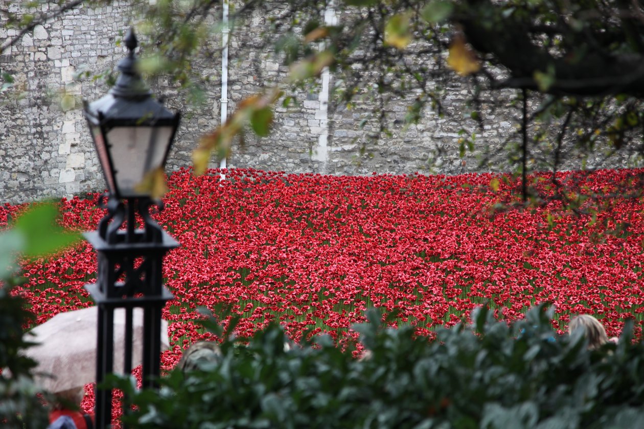 Tierras y mares de rojo barridos por la sangre, Torre de Londres, 2014 de Sheldon Marshall
