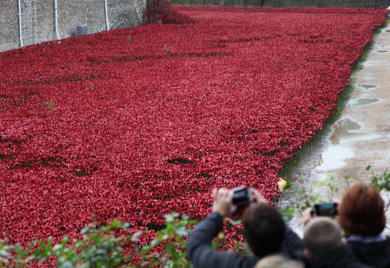 Tierras y mares de rojo barridos por la sangre, Torre de Londres de Sheldon Marshall
