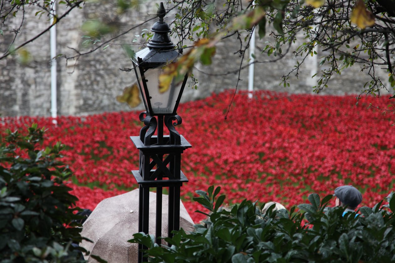 Tierras y mares de rojo bañados en sangre, Torre de Londres de Sheldon Marshall