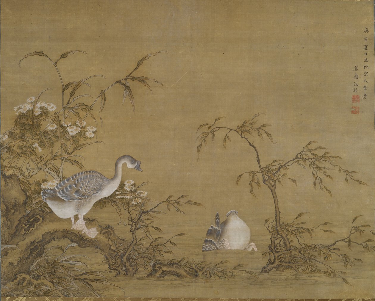 Gansos en la orilla del río, dinastía Qing de Shen Kai