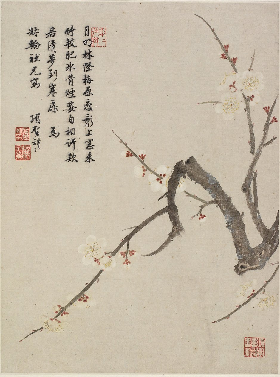 Ciruela en flor de un álbum de flores de diez hojas, 1656 de Shengmo Xiang