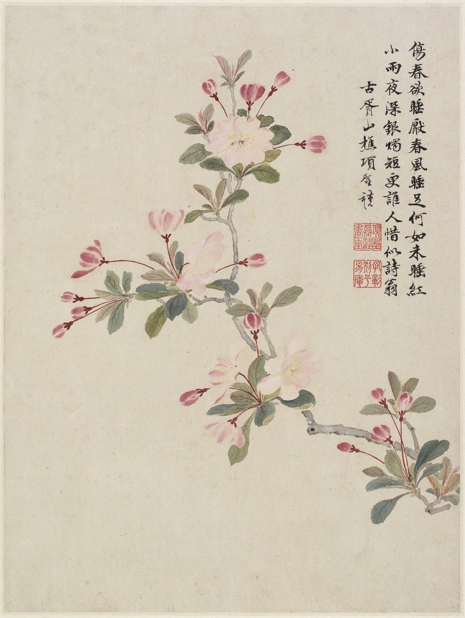 Flor de manzano silvestre de un álbum de flores de diez hojas, 1656 de Shengmo Xiang