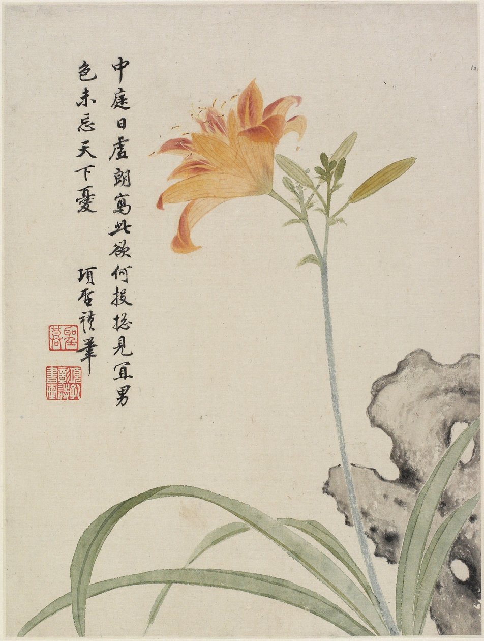 Lirio de día, de un álbum de flores de diez hojas, 1656 de Shengmo Xiang
