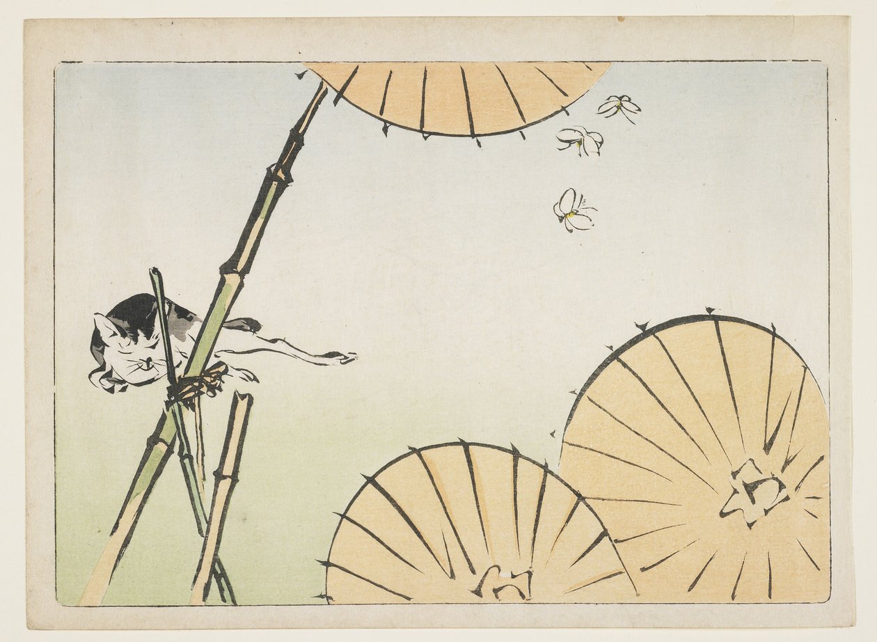 (Bambú, paraguas, un gato y mariposas), c. 1877 de Shibata Zeshin