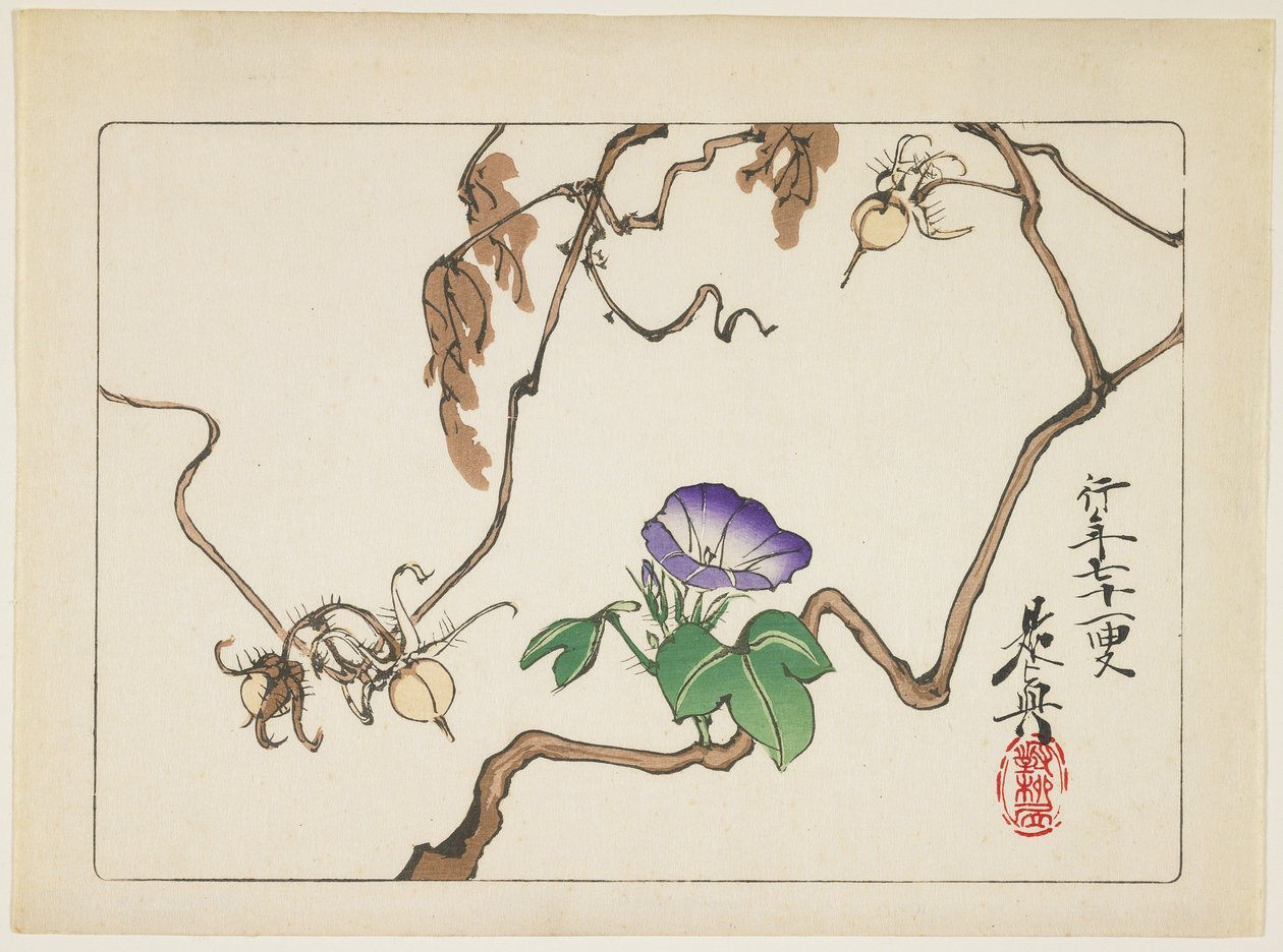 Vid y semillas de gloria de la mañana, 1877 de Shibata Zeshin