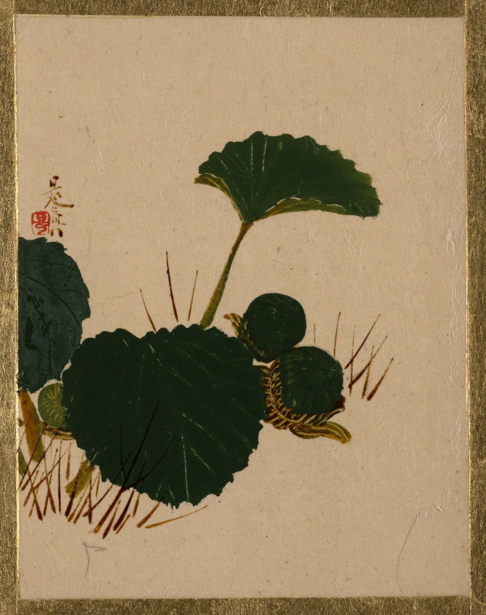 Gusano en Planta de Hojas Verdes de Shibata Zeshin