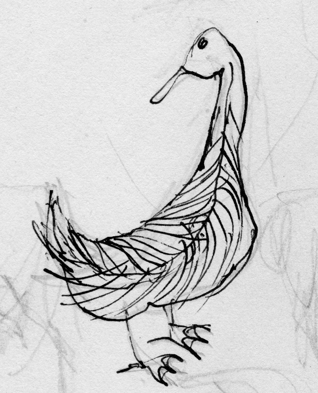 Pájaro, c. 1950 de Shirley Markham