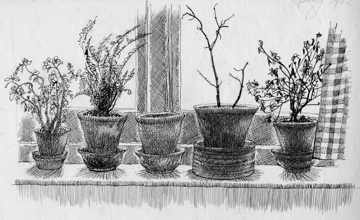 Plantas muertas en un alféizar, 1952 de Shirley Markham