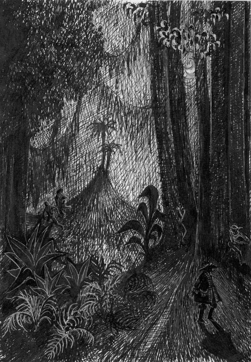Pirata en la selva tropical, 1953 de Shirley Markham