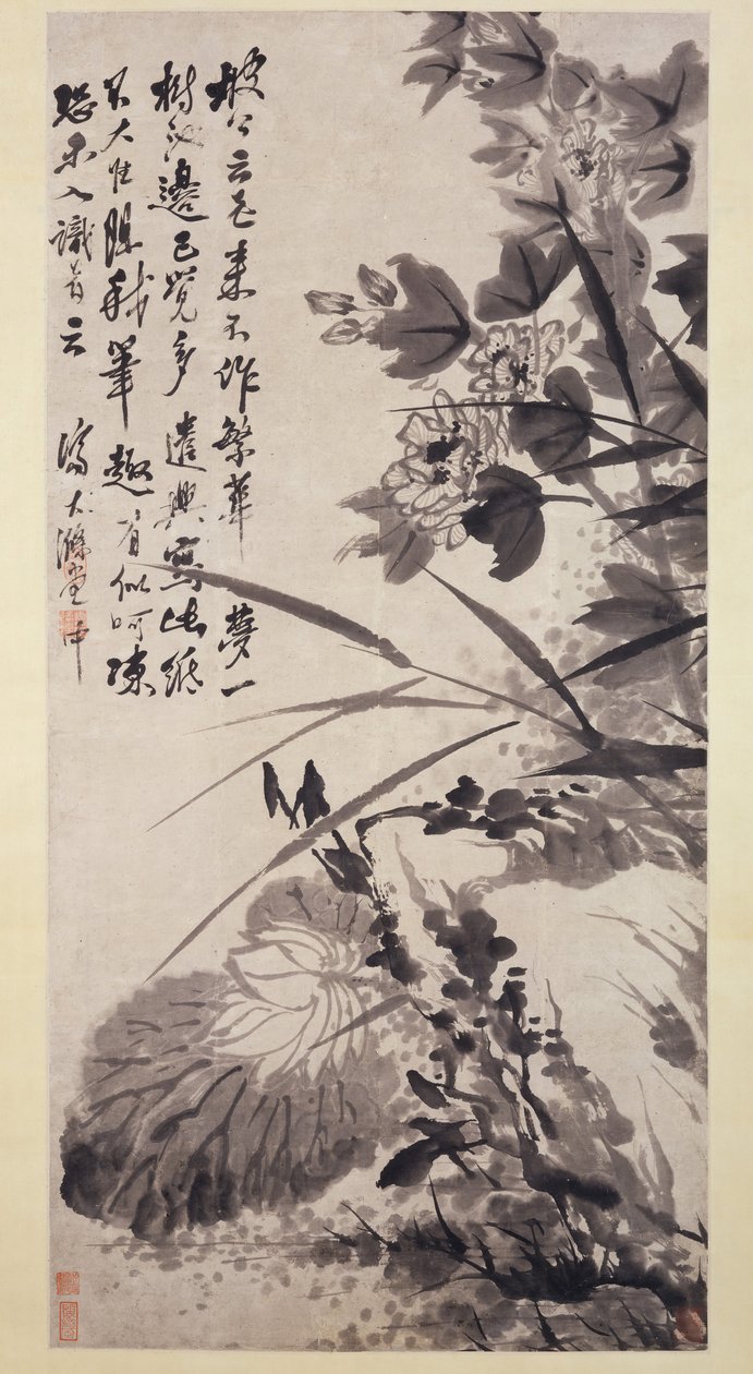 Hibisco, Loto y Roca de Shitao